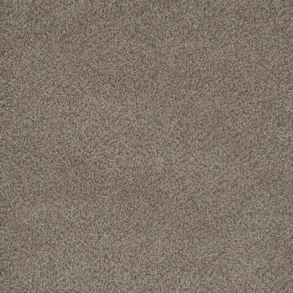 Dreamweaver Carpet Monte Carlo III Umber Carpet 8200_6004