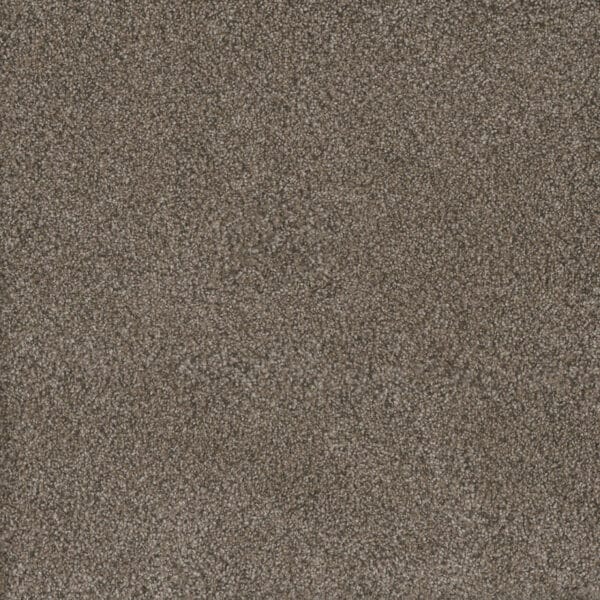 Dreamweaver Carpet Monte Carlo III Fawn Carpet 8200_6005