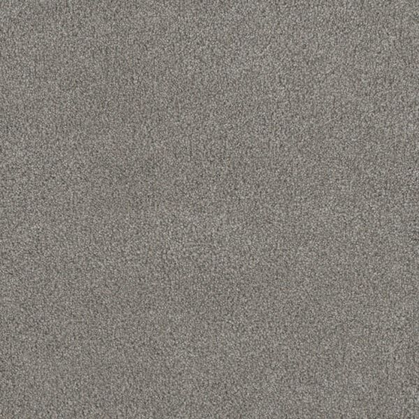 Dreamweaver Carpet Monte Carlo I Winterscape Carpet 6200_6040