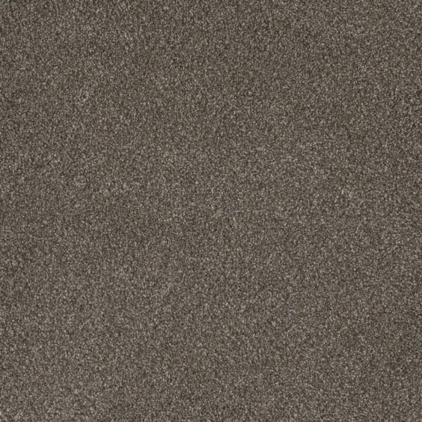Dreamweaver Carpet Monte Carlo I Rugby Carpet 6200_6112