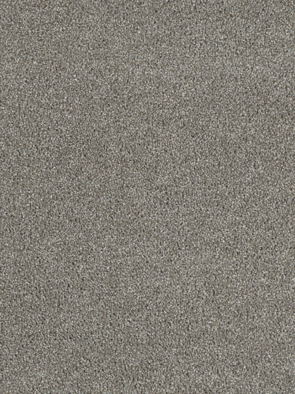 Dreamweaver Carpet Hollywood Havana Carpet 8232_330