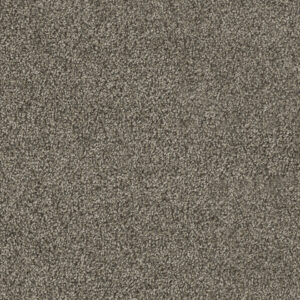 Dreamweaver Carpet Hollywood Smoky Quartz Carpet 8232_418