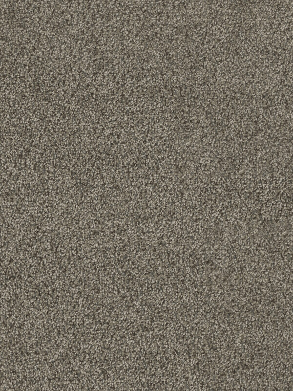 Dreamweaver Carpet Hollywood Smoky Quartz Carpet 8232_418