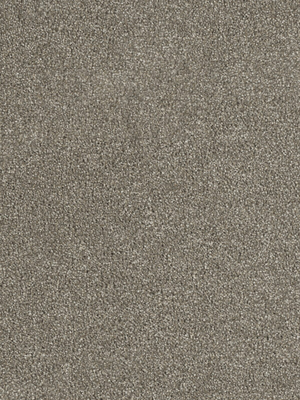 Dreamweaver Carpet Hollywood Cinnamon Tea Carpet 8232_528