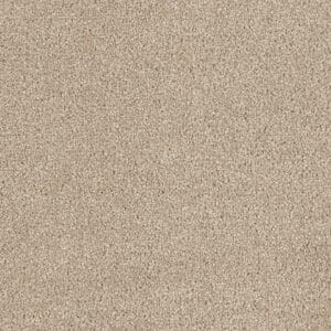 Dreamweaver Carpet Hollywood Cashmere Carpet 8232_580