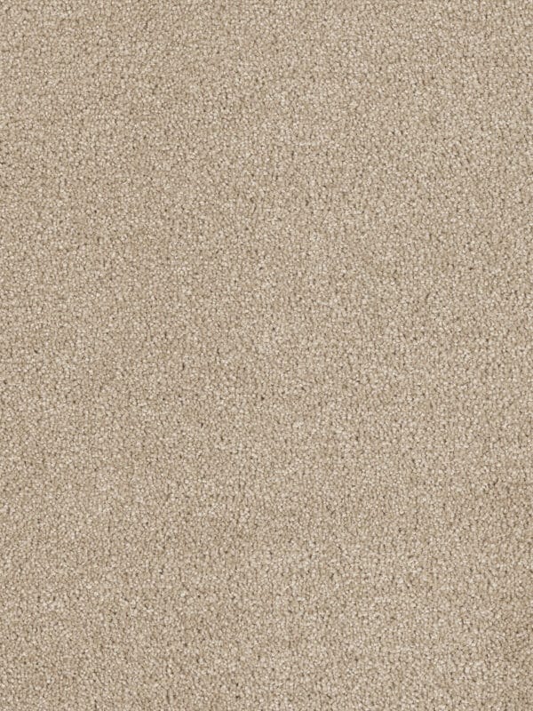 Dreamweaver Carpet Hollywood Cashmere Carpet 8232_580