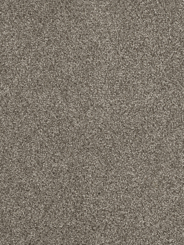 Dreamweaver Carpet Hollywood Baltic Birch Carpet 8232_622