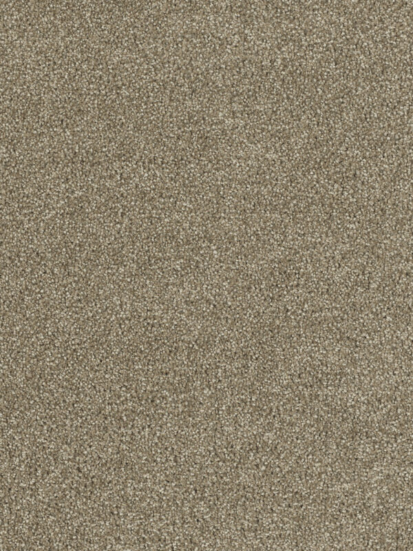Dreamweaver Carpet Hollywood Sienna Sand Carpet 8232_680