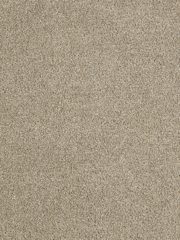Dreamweaver Carpet Hollywood Iceberg Carpet 8232_733