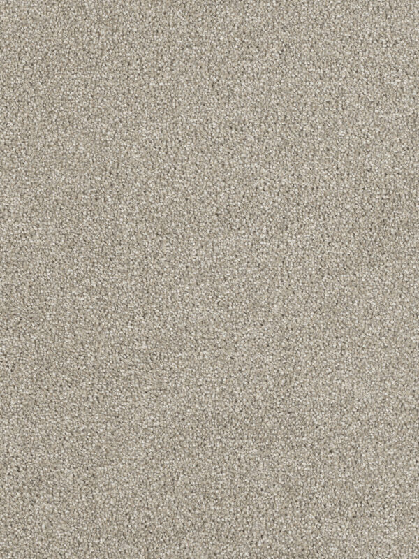 Dreamweaver Carpet Hollywood Orion Carpet 8232_780