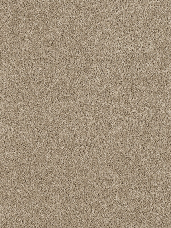 Dreamweaver Carpet Hollywood Warm Teak Carpet 8232_784