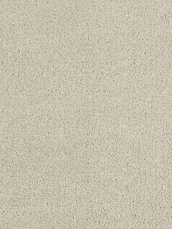 Dreamweaver Carpet Hollywood Dusk Carpet 8232_820