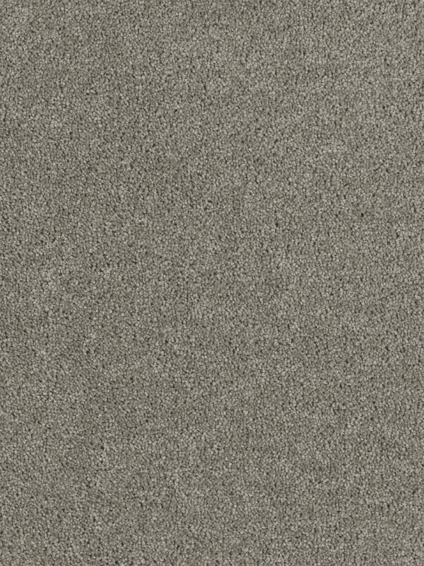 Dreamweaver Carpet Hollywood Dark Platinum Carpet 8232_889