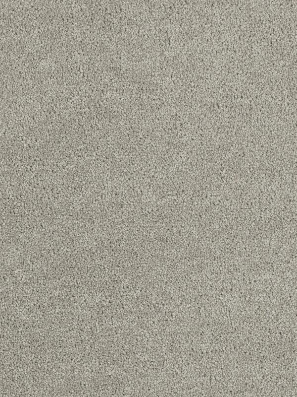 Dreamweaver Carpet Hollywood Icicle Carpet 8232_910