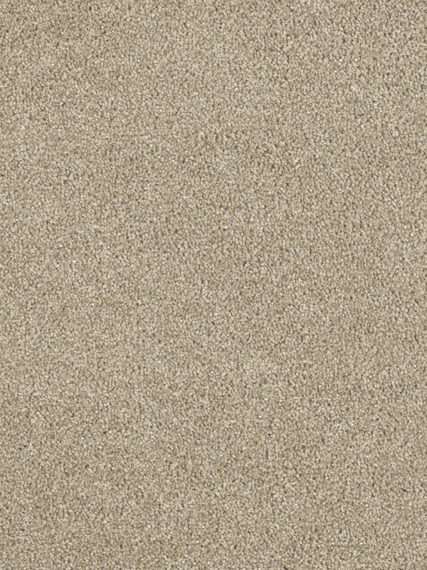 Dreamweaver Carpet Hollywood Oyster Shoal Carpet 8232_912
