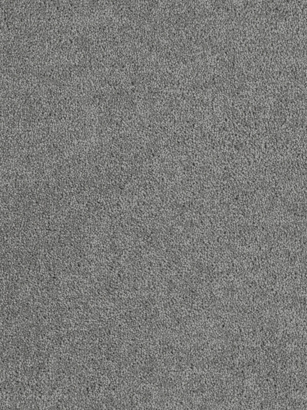 Dreamweaver Carpet Hollywood Armor Carpet 8232_968