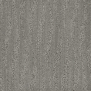 Dreamweaver Carpet DW Select Mojave Tungsten Carpet 8250_3922