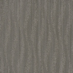 Dreamweaver Carpet DW Select Mojave Boardwalk Carpet 8250_3959