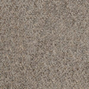 Dreamweaver Carpet Parade Silver Mist Carpet 8265_154