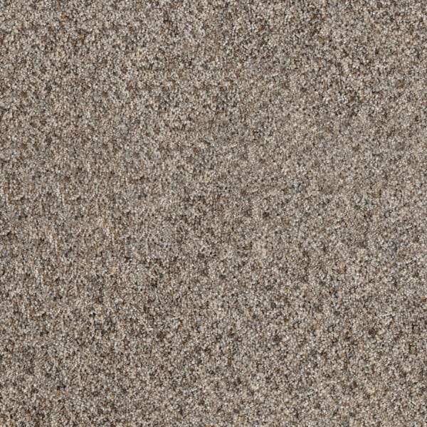 Dreamweaver Carpet Parade Silver Mist Carpet 8265_154