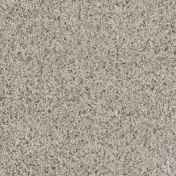 Dreamweaver Carpet Parade Daydream Carpet 8265_231