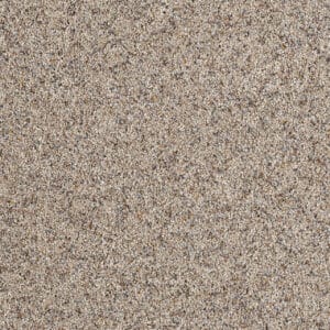 Dreamweaver Carpet Parade Ivory Tower Carpet 8265_406