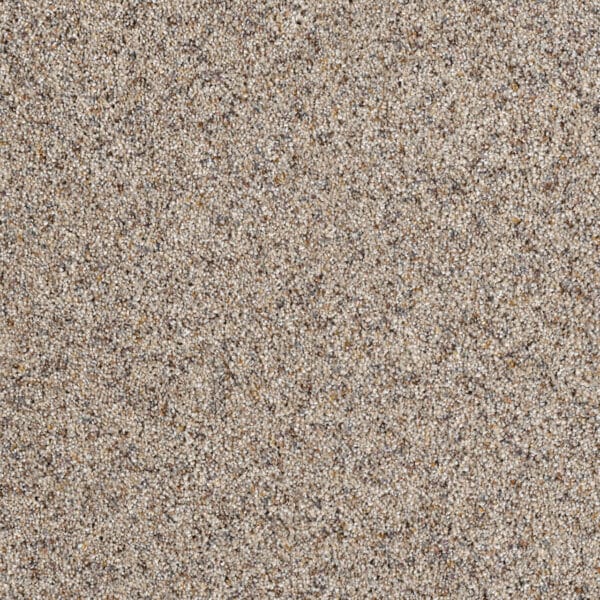 Dreamweaver Carpet Parade Ivory Tower Carpet 8265_406