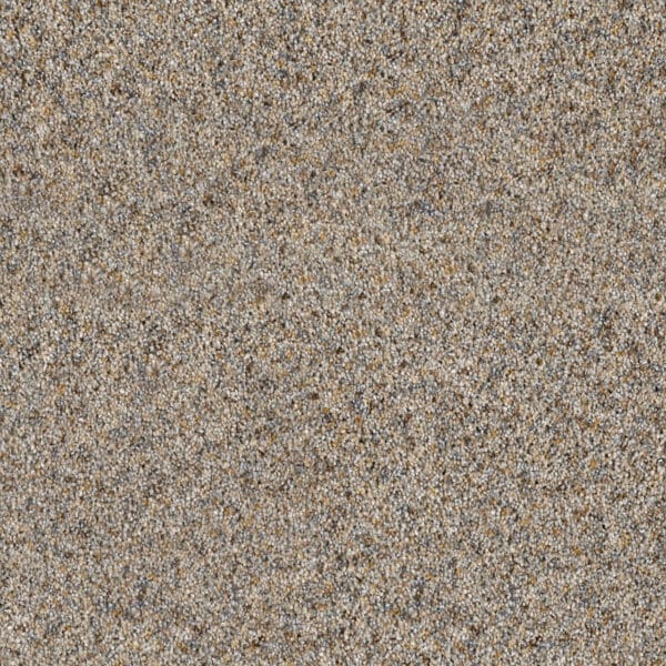 Dreamweaver Carpet Parade Pearl Stone Carpet 8265_632