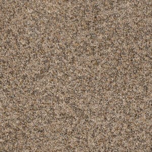 Dreamweaver Carpet Parade Nature Jewels Carpet 8265_772