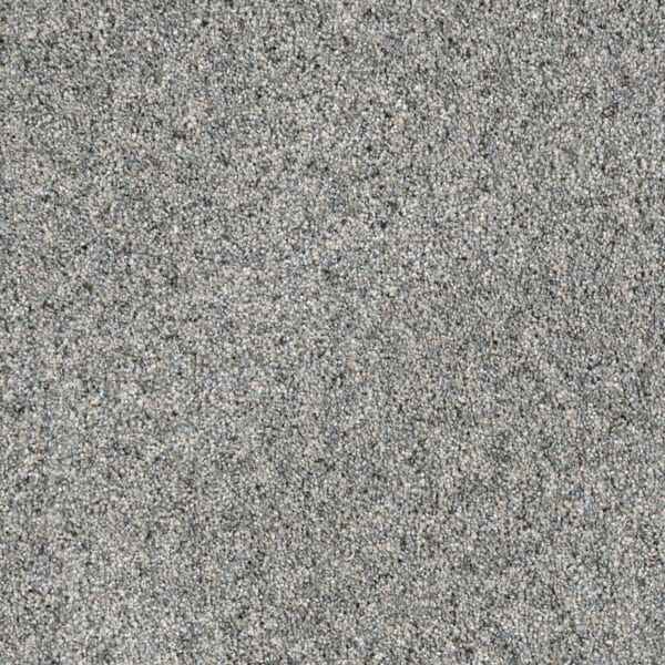 Dreamweaver Carpet Parade Nordic Mist Carpet 8265_837