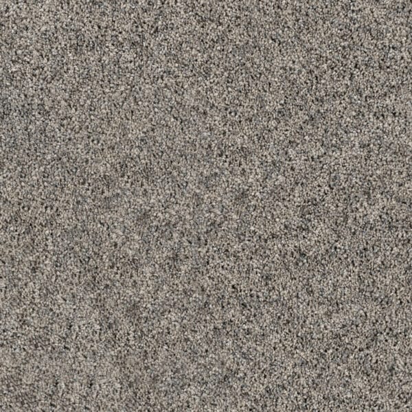 Dreamweaver Carpet Parade Valley Haze Carpet 8265_928