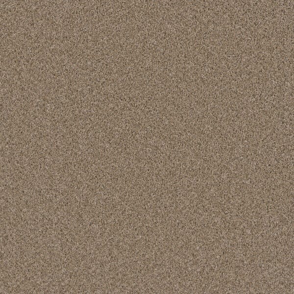 Dreamweaver Carpet Metropolitan II Straw Carpet 8400_551