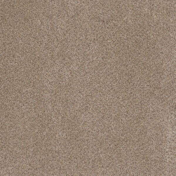 Dreamweaver Carpet Metropolitan II Oxford Carpet 8400_720