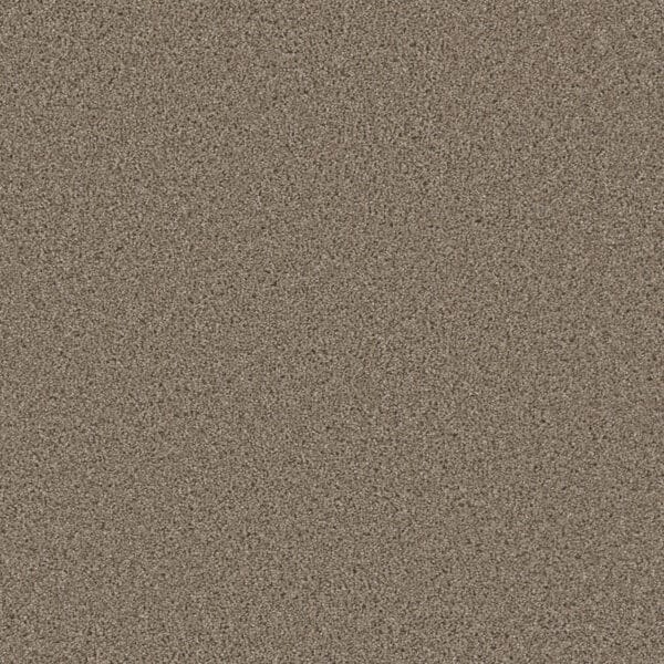 Dreamweaver Carpet Metropolitan II Mocha Carpet 8400_775