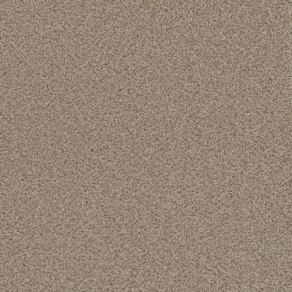 Dreamweaver Carpet Metropolitan II Linen Carpet 8400_824