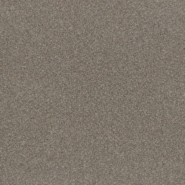 Dreamweaver Carpet Metropolitan II Shadows Carpet 8400_826