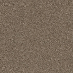 Dreamweaver Carpet Metropolitan II Acorn Carpet 8400_858