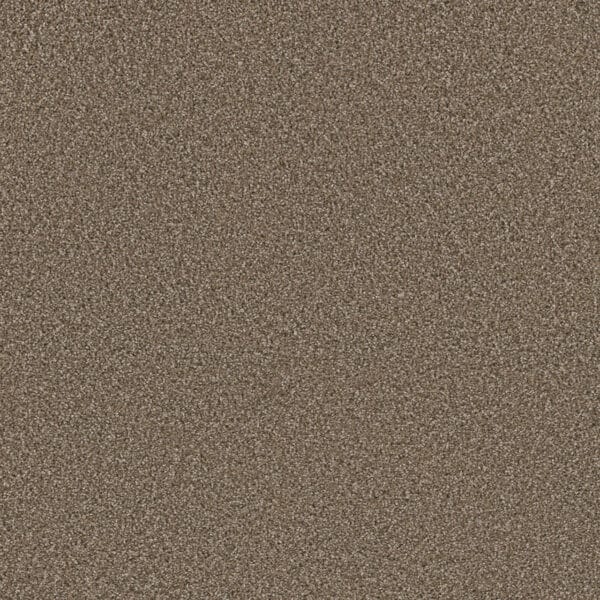 Dreamweaver Carpet Metropolitan II Acorn Carpet 8400_858