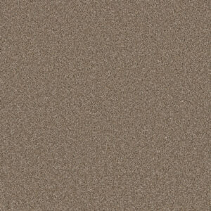 Dreamweaver Carpet Metropolitan II Tumbleweed Carpet 8400_883