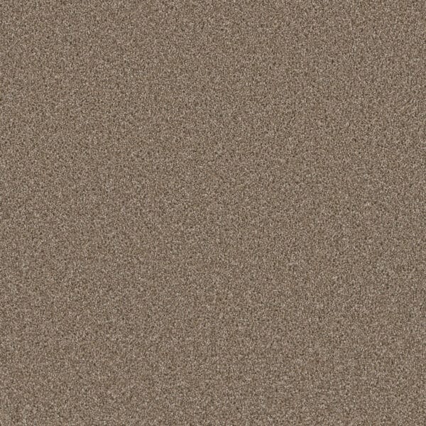 Dreamweaver Carpet Metropolitan II Tumbleweed Carpet 8400_883