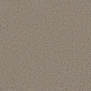 Dreamweaver Carpet Metropolitan II Stucco Carpet 8400_905