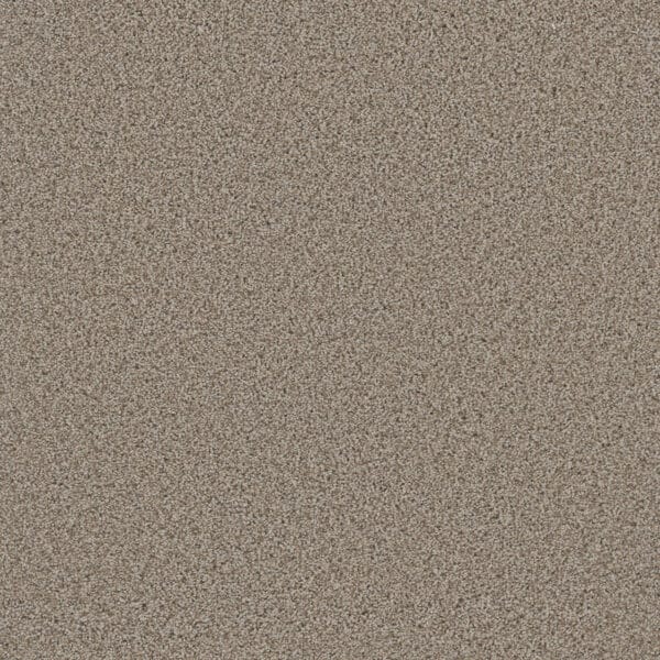 Dreamweaver Carpet Metropolitan II Stucco Carpet 8400_905