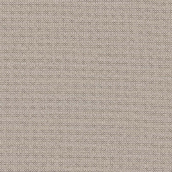 Dreamweaver Carpet DW Select Montreal Bonavista Carpet 8448_8315