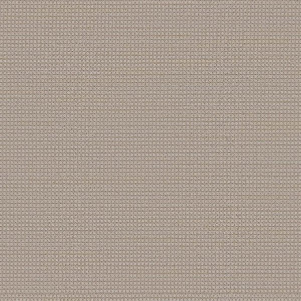 Dreamweaver Carpet DW Select Montreal Lion's Bay Carpet 8448_8454