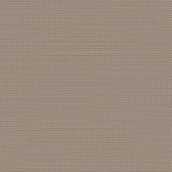 Dreamweaver Carpet DW Select Montreal Elk Point Carpet 8448_8574