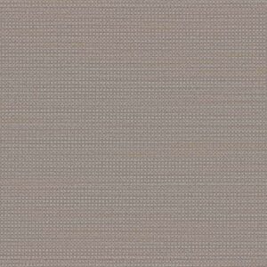Dreamweaver Carpet DW Select Montreal Shellbrook Carpet 8448_8580
