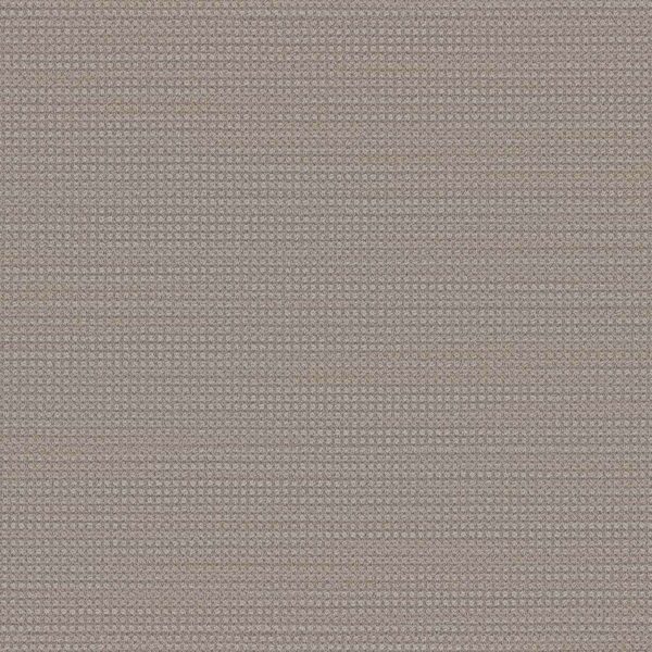 Dreamweaver Carpet DW Select Montreal Shellbrook Carpet 8448_8580