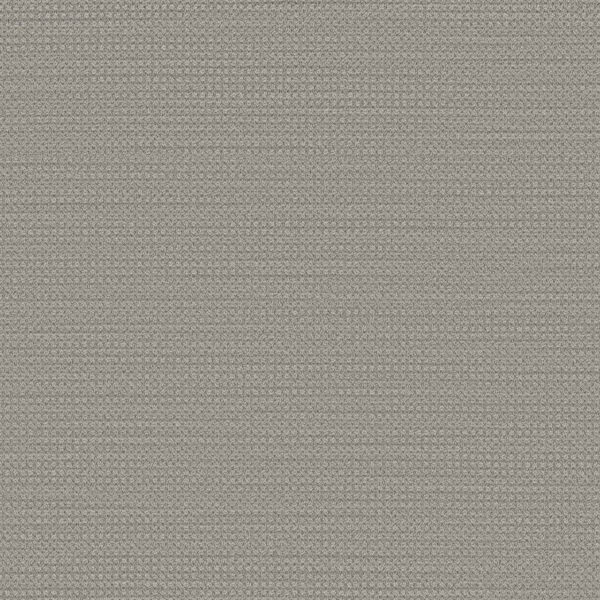 Dreamweaver Carpet DW Select Montreal Mount Pearl Carpet 8448_8624