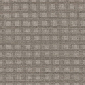 Dreamweaver Carpet DW Select Montreal Willowdale Carpet 8448_8670