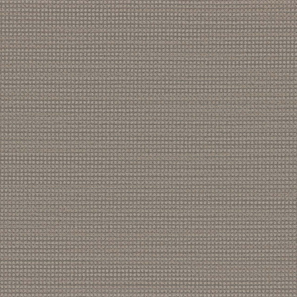 Dreamweaver Carpet DW Select Montreal Willowdale Carpet 8448_8670